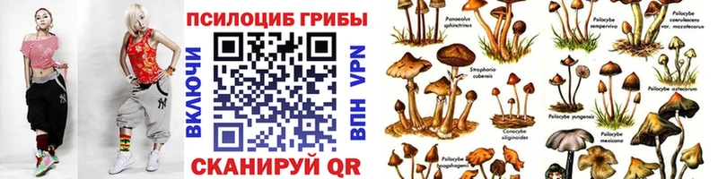 Псилоцибиновые грибы мухоморы купить закладку Избербаш